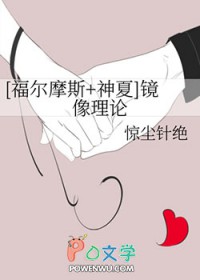 [综英美] 镜像理论