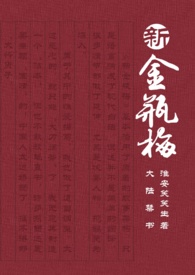 大陸禁書：新金瓶梅
